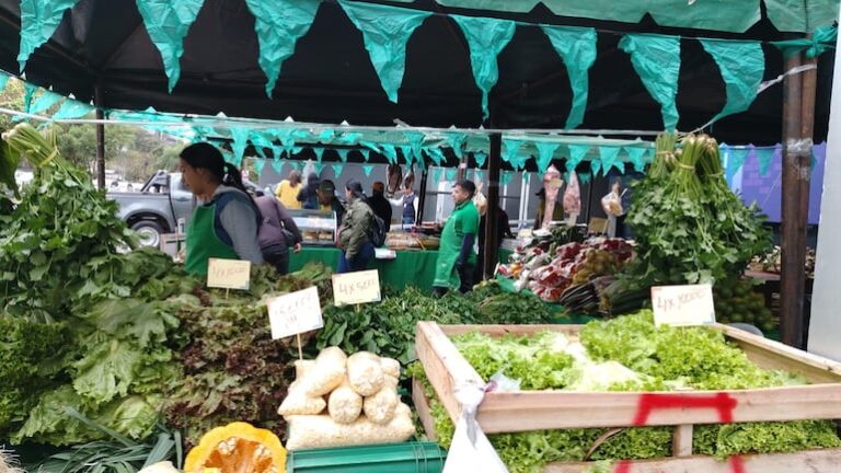 Feria de la Agricultura Familiar: el tomate brilla, pero no es el más vendido.