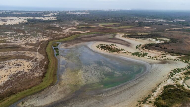 La laguna más extensa de Doñana se seca por tercera vez.