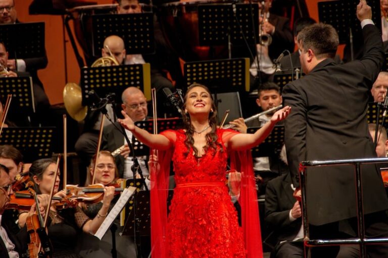 La ópera brillará en el próximo concierto de la OCMA.