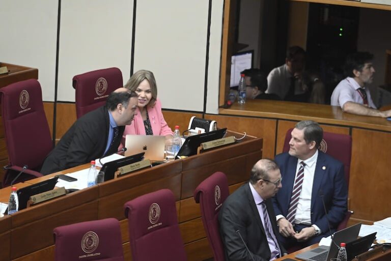 Senado establece juzgados de violencia contra la mujer y eleva alcohol en naftas